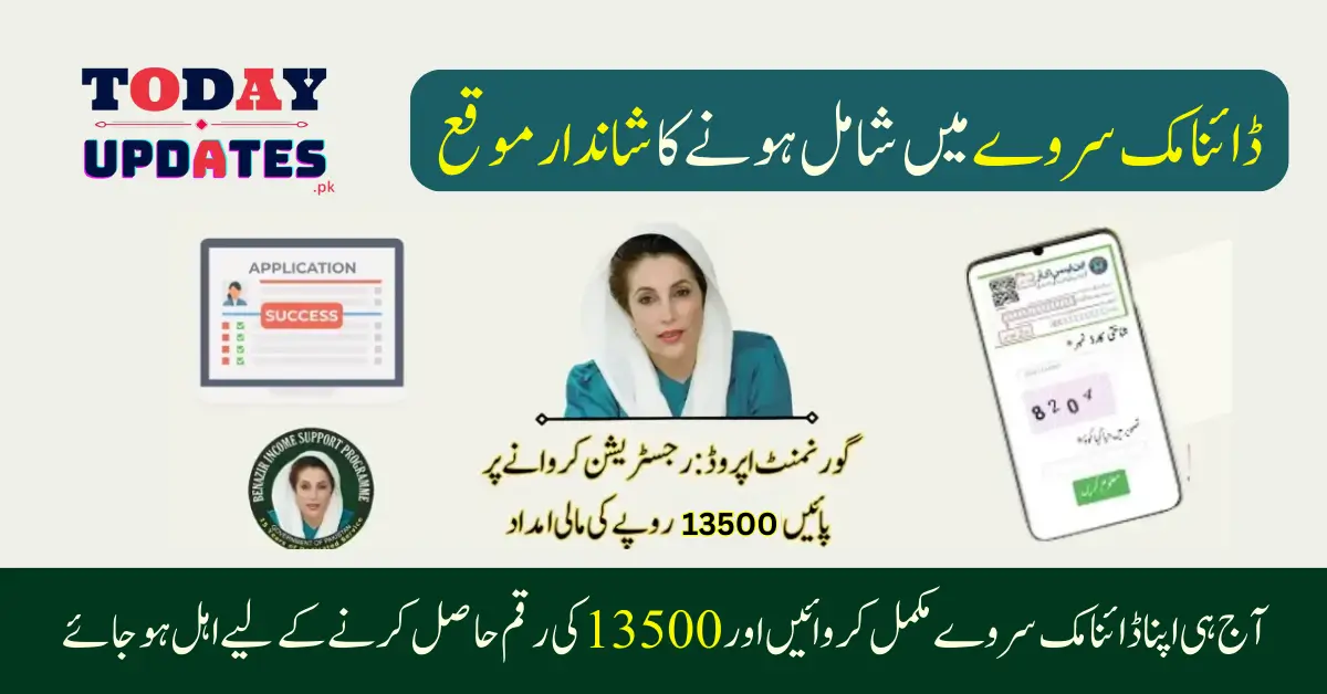 Step-by-Step Reapplication Process for Ehsaas Dynamic Survey Registration