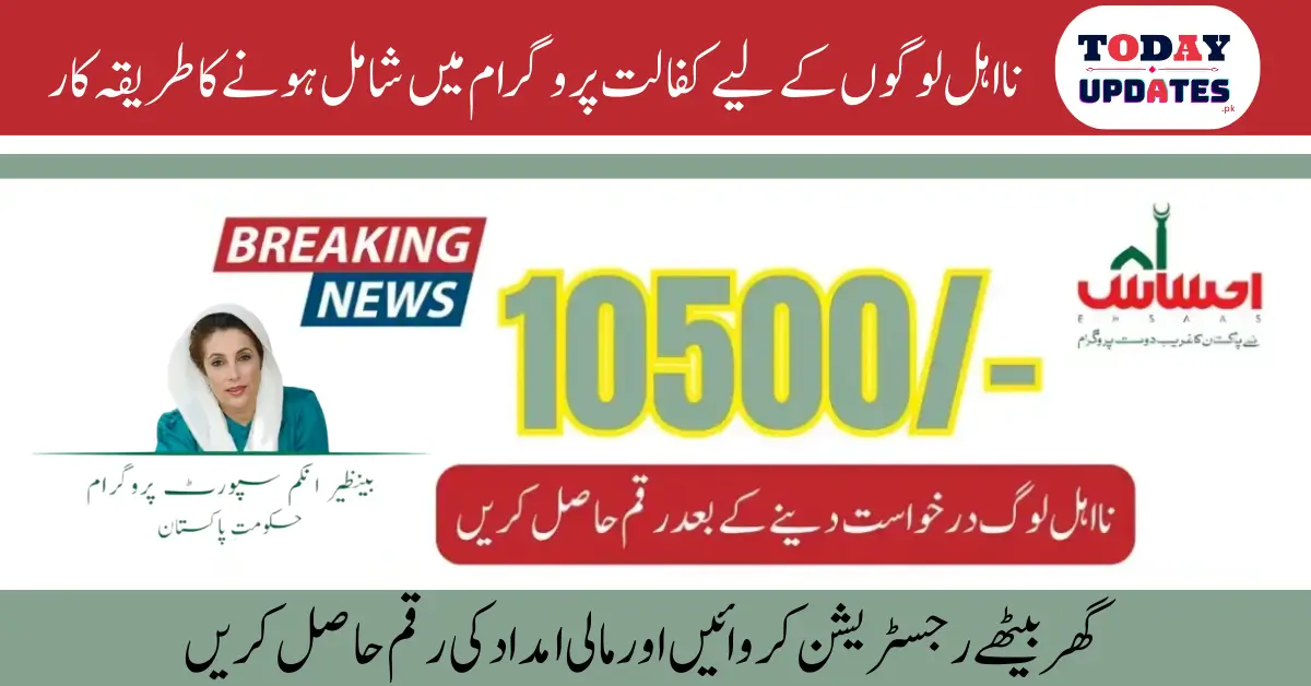 How to Appeal Your 10500 Ehsaas New Payment For December 2024