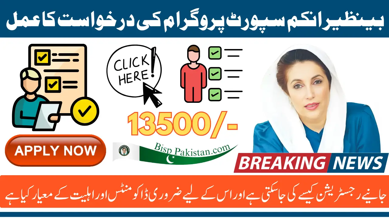 Benazir Income Support Program Application Process Online Through Portal And Through Office